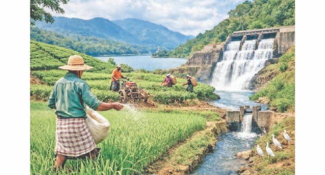 වාරි ජලය අරපිරිමැස්මෙන් භාවිතා කරන්න